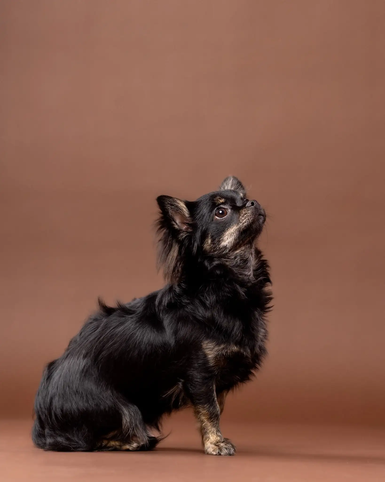 Verna - sesja studyjna